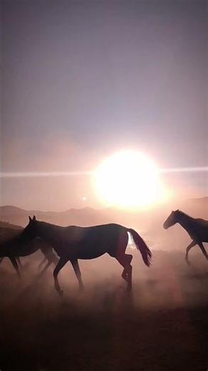 Sunset Ride into the Wild 🌵🐎 | Cowboy Horsepower Unleashed!