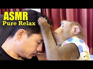 Monkey ASMR to Deep Sleep | Pure Relax & Tingly Hair Scratch Sounds