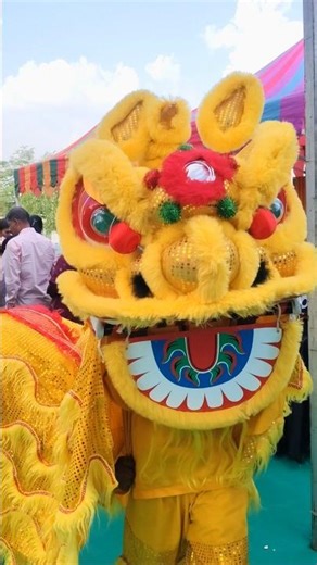 Ye Kya Tha?! Real Chinese Lion Dance 🐲🔥 #shorts