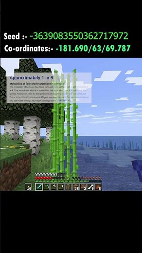 Blocks Tall Sugar Cane! (Is it RARE?) | Minecraft Survival #minecraft #minecraftrealistic