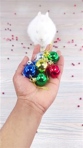 🐰🌈 Satisfying ✨🌈 Reverse Video ASMR 🐇 #satisfying #reverse #ytshorts #shorts #asmr #rabbit #beads