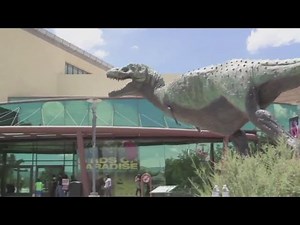 NM Museum of Natural History and Science