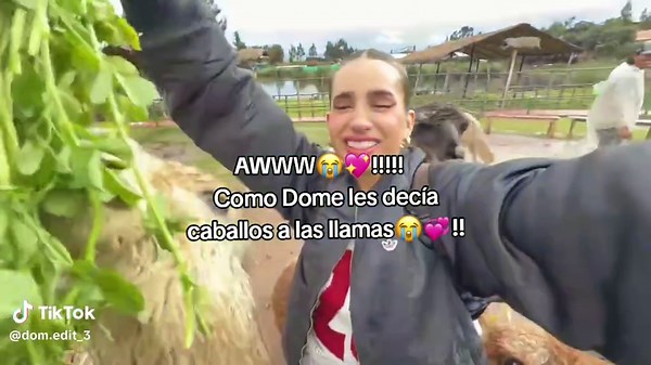 Q bonitaaa😭🤌!!@domelipa #domelipa #domedit_3 #tiktok #tiktokviral #zyxcba #paratii @TikTok