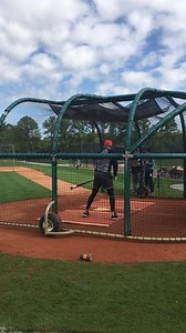 Detroit Tigers' Nicholas Castellanos' spring batting practice