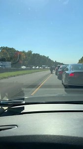 CT State Trooper chasing a loose cow on I-84 in Vernon, CT on 10-7-22. Credit: dambergw on Reddit #connecticut #cow #funny #ct #lol
