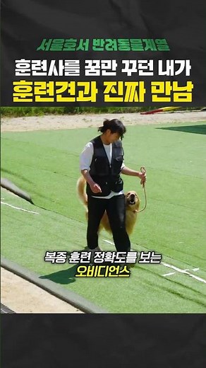I tried out being a dog trainer. And it was free.