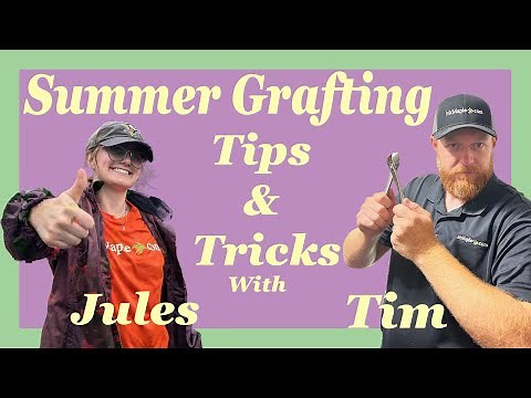 Summer Grafting Japanese Maple Tutorial with Tim and Jules!