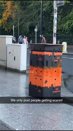 People Getting Scared on Instagram: "Imagine if there was a page dedicated to People Getting Scared Music by: @deimioficial - Jugando #PplGettingScaredd#JumpScareReaction #ScreamsForDays #ScaredOuttaMyMind #FearFactorFail"