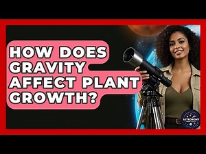 How Does Gravity Affect Plant Growth? - Astronomy Made Simple