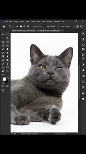 How to use clone stamp in photoshop #photoshoptutorial #photoshoptipsandtricks #photoshop #GraphicDesign | Gulam Rabbane