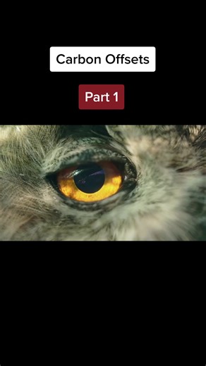 Why Carbon Offsets Are a Scam | Part 1 #wendover #wendoverproduction #carbon #offsets #carbonoffsets