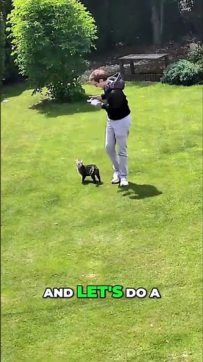 Auto-Tracking, Zoom Tests, Night Tests, and Time-Lapses #shorts #teamhamza