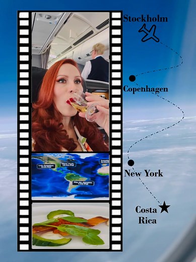 #newyorkcity #costarica #travel #airplane #sas #vacation #champain #plain #nuevayork