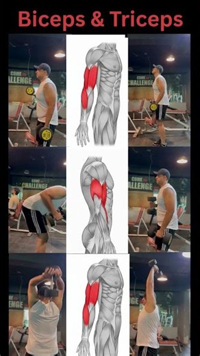 Tricep Workout with Dumbbells | Build Strong Arms at Home 💪