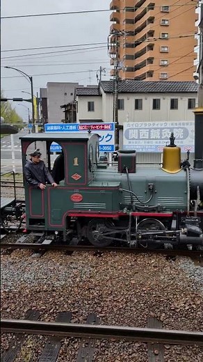 ひさびさの営業運転 坊っちゃん列車D1編成 #伊予鉄 #鉄道 #愛媛大学 #愛大 #train
