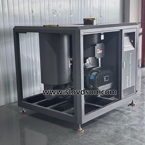 [Hot Item] Special Anti-Corrosion Coating for Marine and High-Humidity Applications Roots Blower