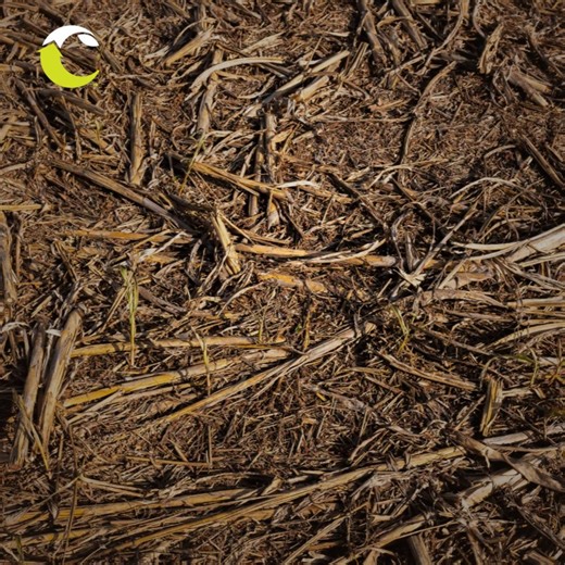 2.2K views · 18 reactions | Soil organic matter is important for soil...