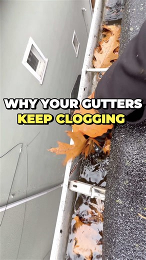 This is why your gutters keep clogging