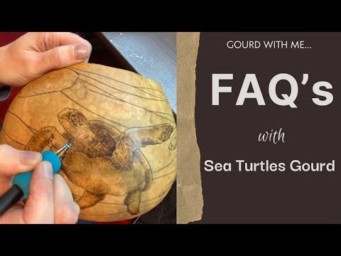 FAQ's with Sea Turtle Gourd Pyrography and Carving