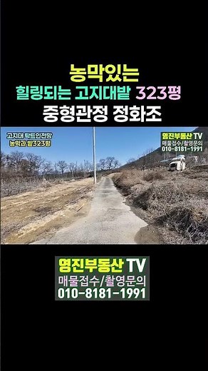 (791번)고지대 탁트인전망 농막있는 전323평 6,900만원 관정,정화조,대추나무 #보은부동산 #충북보은토지 #shorts