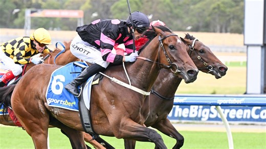 2026 South Australian Derby Form Facts | Racenet