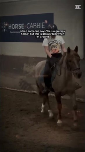 Sunday I have another competition on this beautiful pony