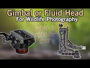 Gimbal or Fluid Tripod Head?