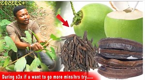 289 reactions · 43 shares | Why drinking Coconut water everyday is important. HEALTH BENEFITS of Coconut & "Kakaweadwe" | Ghpack TV | Facebook