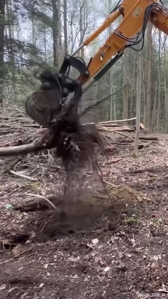 Building a BRUSH Fire #brushfire #firewood #MakingFirewood #brush | Hometownacres