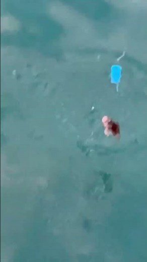 For bottom-dwelling fish, a sabiki rig with an added cage and a single baited hook is extremely e...