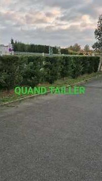 WHEN TO TRIM A HEDGE Legislation #gardening #garden #gardendesign #gardeningtips