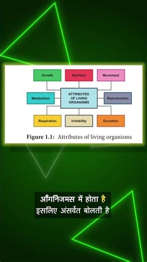 Class 11th Revision Series 01/50 | The Living World | NeetxOne