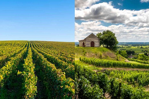 How to Pick the Bordeaux That Suits Your Taste and Budget