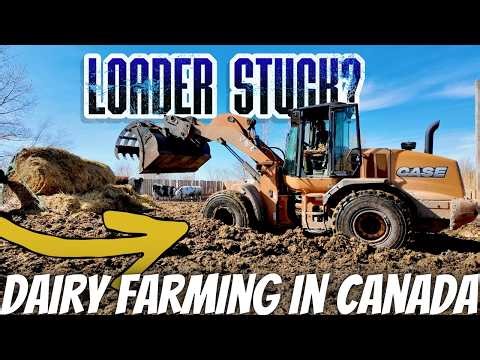 Corrals Are Turning To Mud Pits! 🤦‍♂️