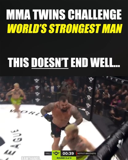 Twins take-on an absolute MONSTER, But it doesn't end well for them... | Brawl Breakdown