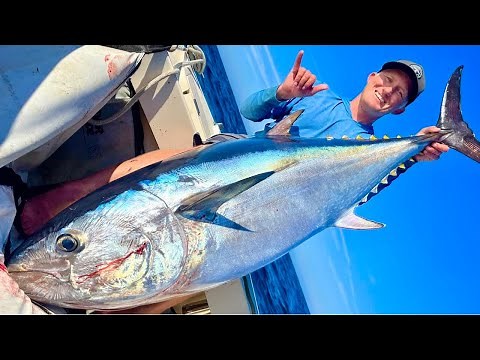 Bluefin Tuna Fishing Southern California NEW PERSONAL BEST (Catch and Cook)