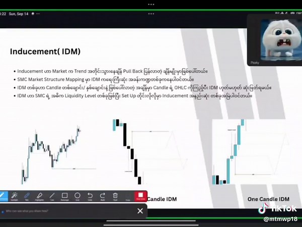 Master the Market Class Video Recording
