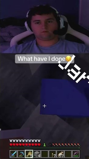 He never got to help fight the ender dragon #minecraft #streamer #fyp #minecraftmemes