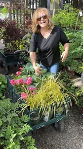 I know a lot of great moms, but to find a mom that absolutely delights in her kids is a bit more rare, and that is mine. She made us kids feel that we were the whole world, a foundation she is passing along to her grandkids as well. She’s always game for anything and helps out anywhere and everywhere she can with patience, fun and excitement. Being a mom now myself, I can only hope to emulate a little of the example she set for us. Happy Mother’s Day, Mom! 💜 | Garden Answer