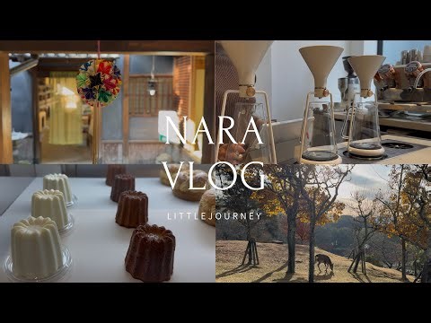 【奈良】息をのむほど美しい紅葉と鹿｜ならまち散策｜白いカフェ・奈良観光｜Nara trip