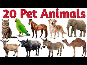 20 Pet Animals | पालतू जानवरों के नाम | Fam Animals Educational video | Animals Names