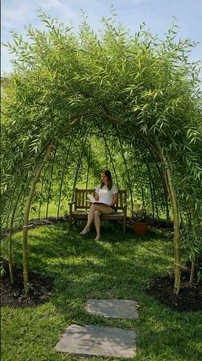 A Living Garden Retreat: Creating a Willow Arch Reading Nook in Your Backyard