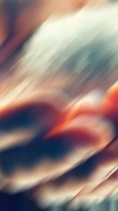 65K views · 3.1K reactions | The hidden meaning behind the incredible salt and light parable | Bibleepics | Facebook