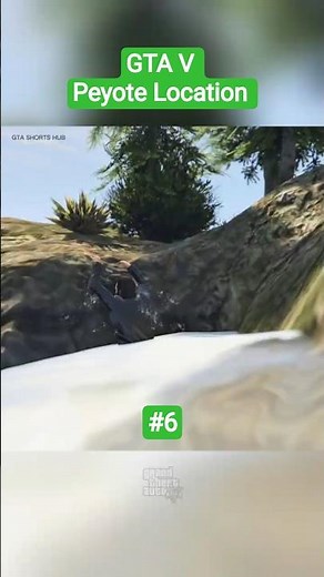 GTA 5 Peyote Plant Locations | Where to Find Peyote