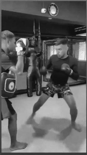 pro warrior mma padding day...