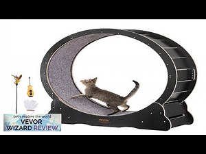 VEVOR Cat Exercise Wheel Large Cat Treadmill Wheel for Indoor Cats 43.3 Review