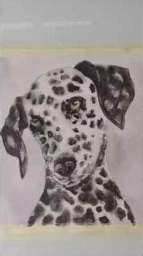 Channel Trailer And Introductory Video: More About Me