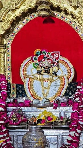 सांवरिया सैट जी के मनमोहक दर्शन 🙏