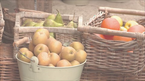 How Cuban agriculture went from industrial to sustainable