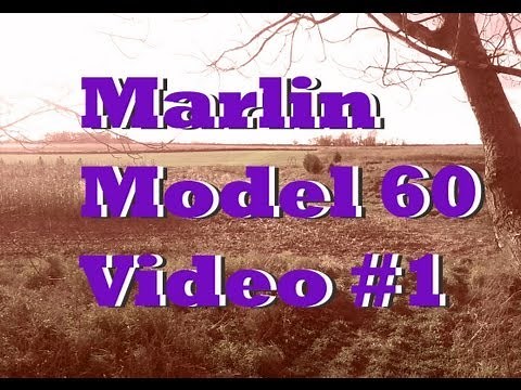 Marlin Model 60: A brief breakdown/ disassembly